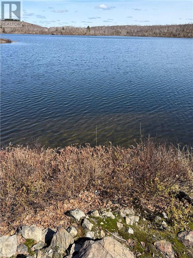 Part of Lots 9 & 10 Salo Road — photo 5 of 11