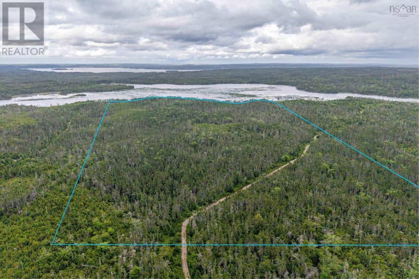 Lots Ostrea Lake Road — photo 1 of 22