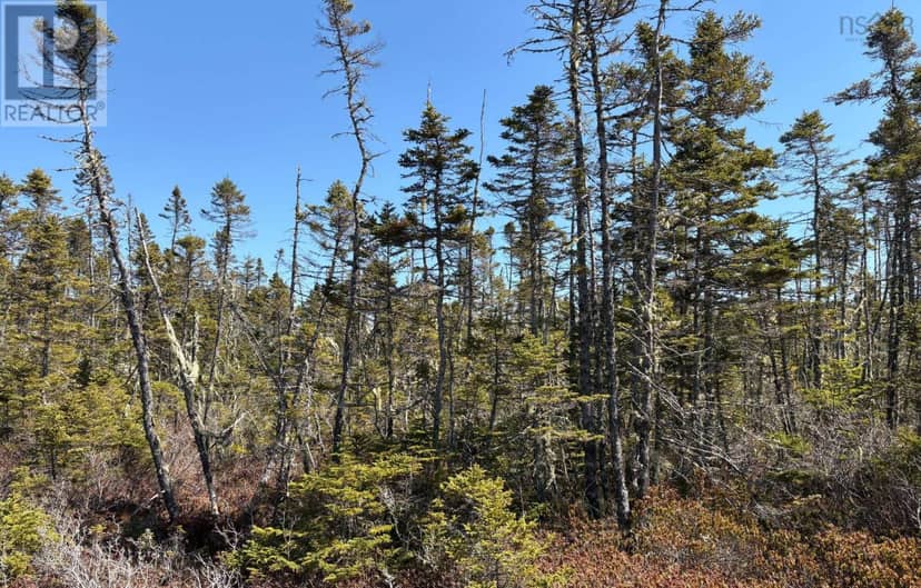 Lots Ostrea Lake Road — photo 14 of 22