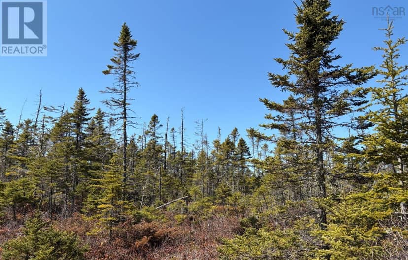 Lots Ostrea Lake Road — photo 13 of 22