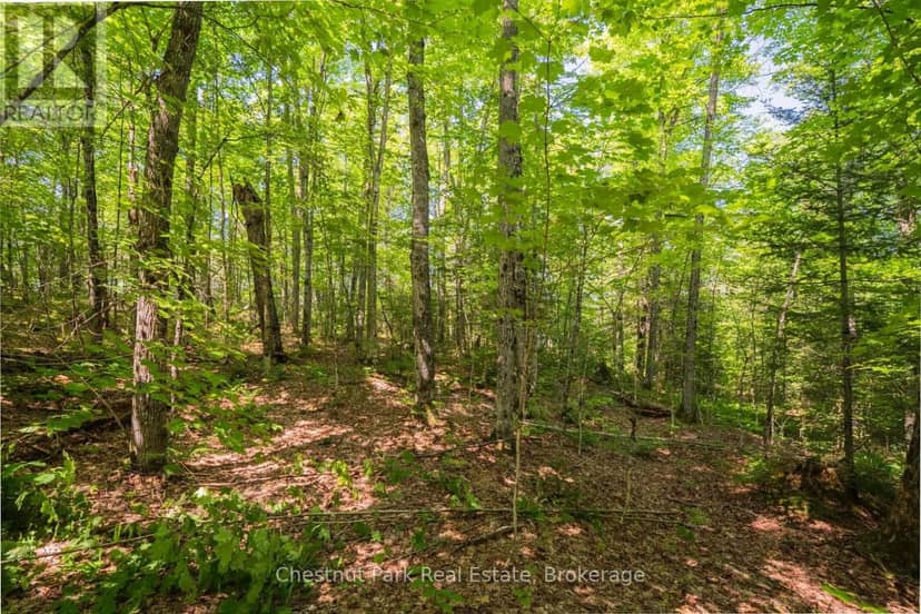 Part 8,9,10  Pool Lake Con 2 Pt Lot 19 Rp 42R18158 — photo 13 of 26