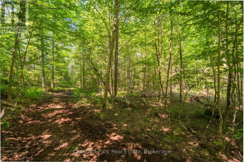 Part 8,9,10  Pool Lake Con 2 Pt Lot 19 Rp 42R18158 — photo 14 of 26