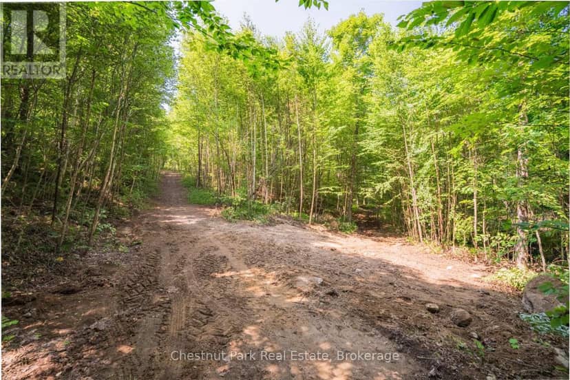 Part 8,9,10  Pool Lake Con 2 Pt Lot 19 Rp 42R18158 — photo 9 of 26