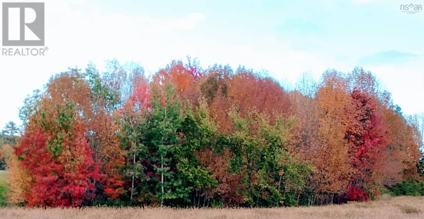 Lot(s) Havre Boucher (Simons) Road — photo 11 of 11