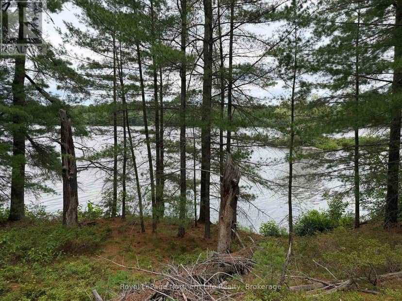 WM2-1 Lake Nipissing — photo 24 of 29