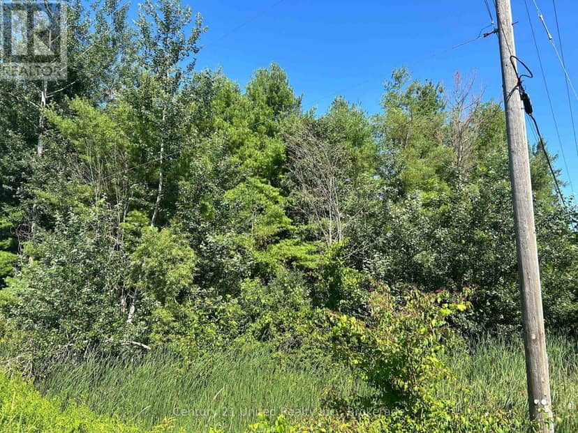 0 Concession Rd 4 W, Trent Hills, photo 2