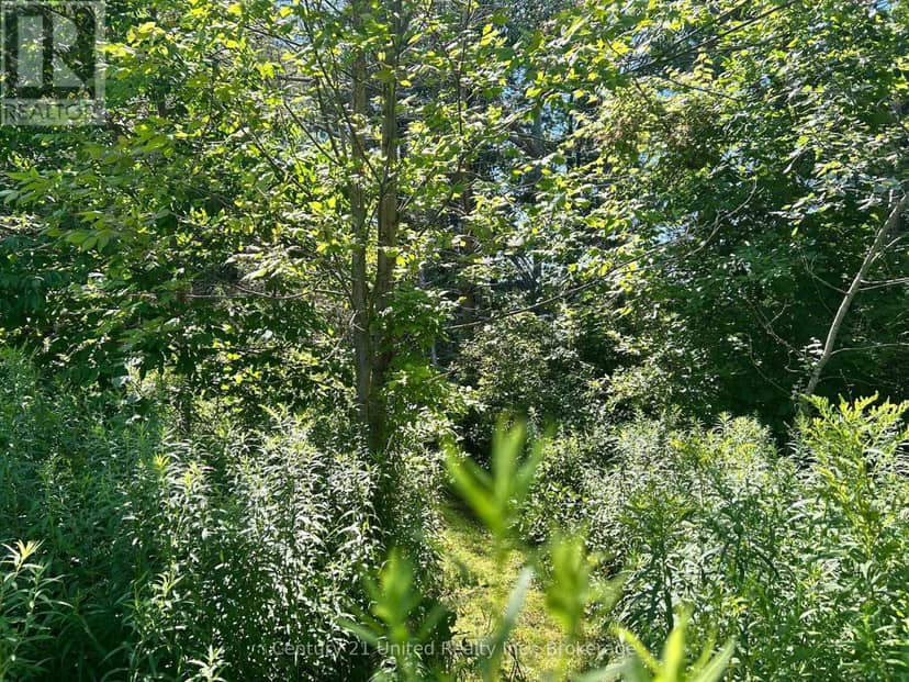 0 Concession Rd 4 W, Trent Hills, photo 5