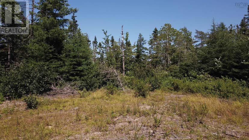 Lot Spar Lake — photo 13 of 21