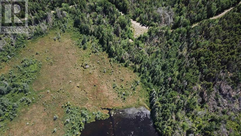 Lot Spar Lake — photo 14 of 21