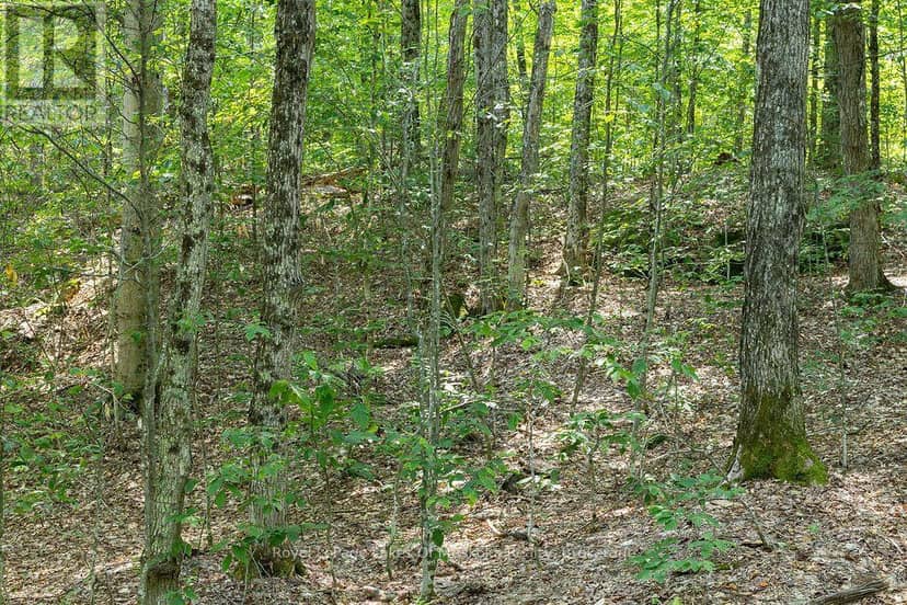 Lot #15 - 101 Gryffin Bluffs Lane — photo 11 of 25