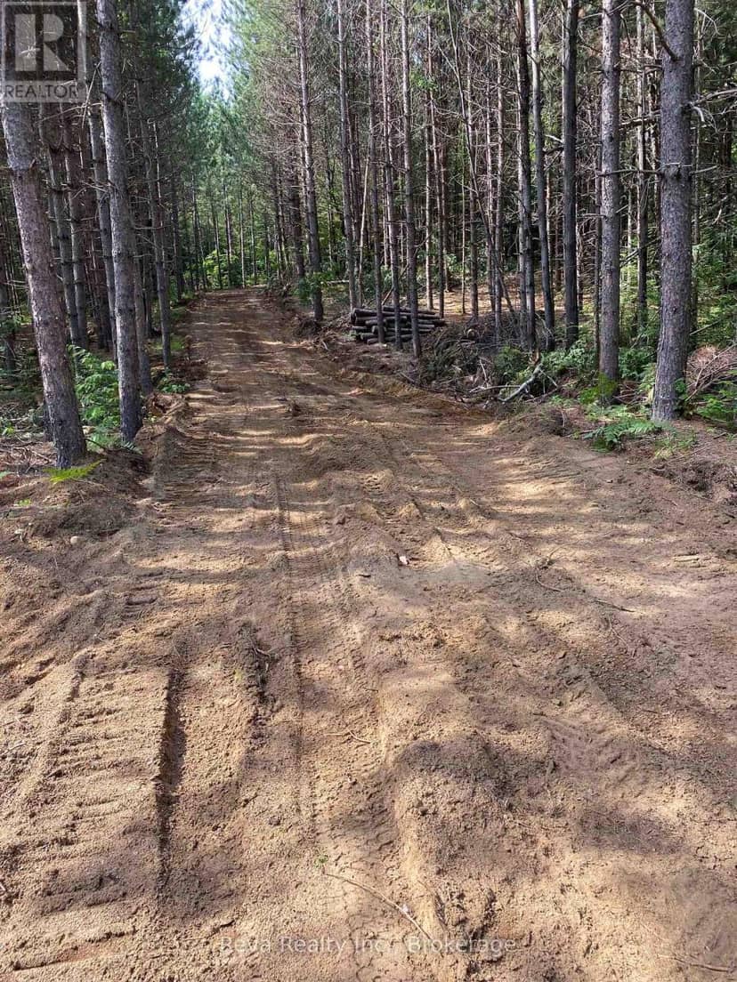 0 Snake Rapids Road — photo 5 of 23
