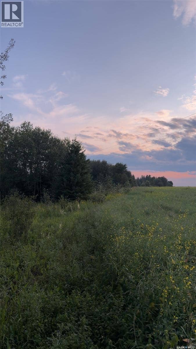 25.87 Acres 8.5kms East of Meadow Lake — photo 10 of 13