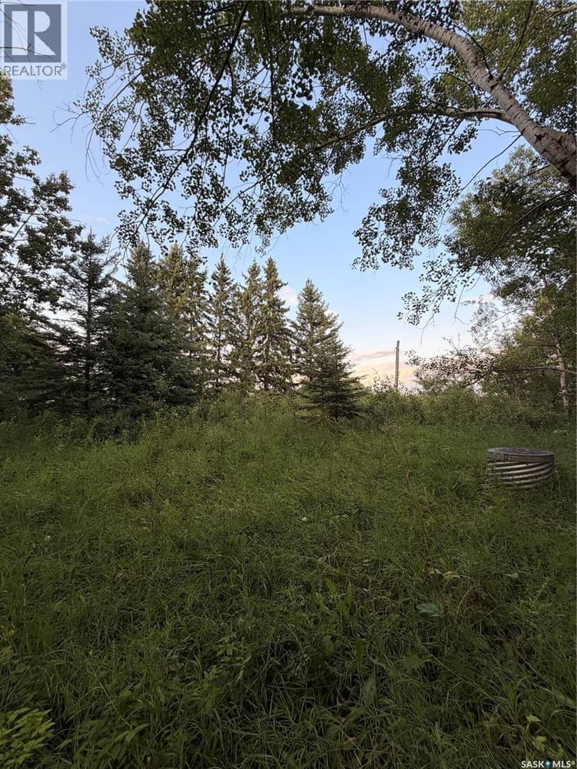 25.87 Acres 8.5kms East of Meadow Lake — photo 3 of 13