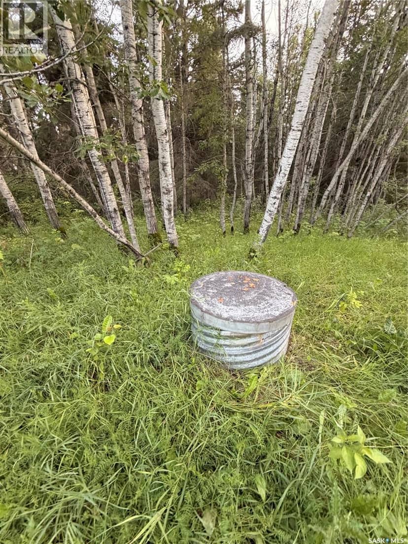 25.87 Acres 8.5kms East of Meadow Lake — photo 6 of 13