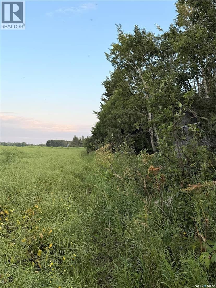 25.87 Acres 8.5kms East of Meadow Lake — photo 7 of 13