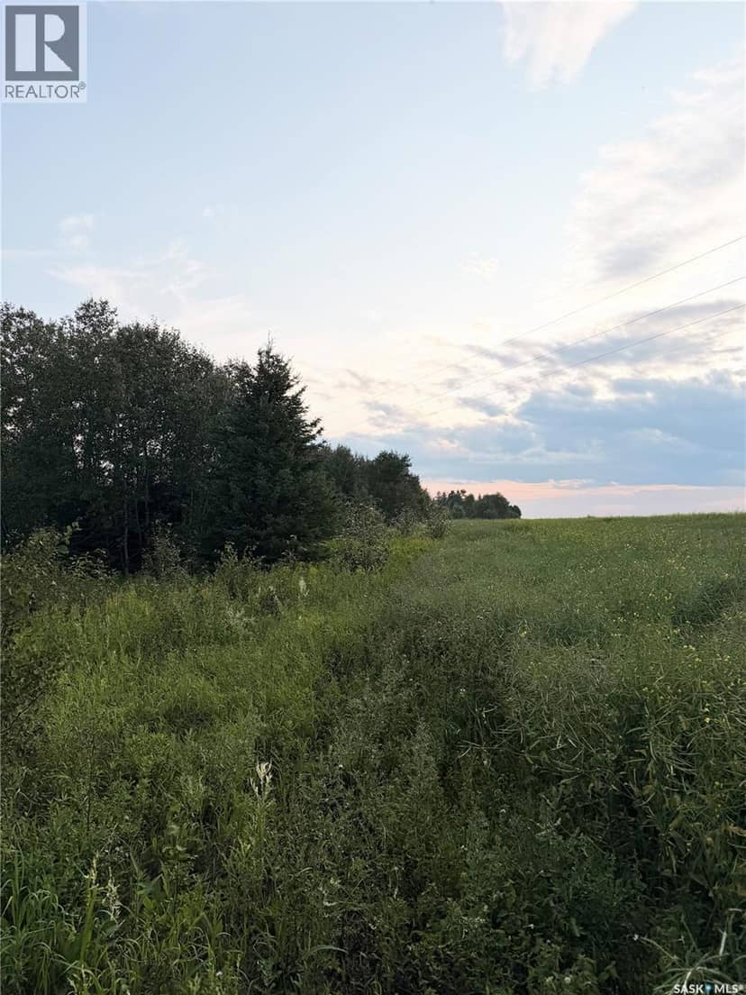 25.87 Acres 8.5kms East of Meadow Lake — photo 8 of 13