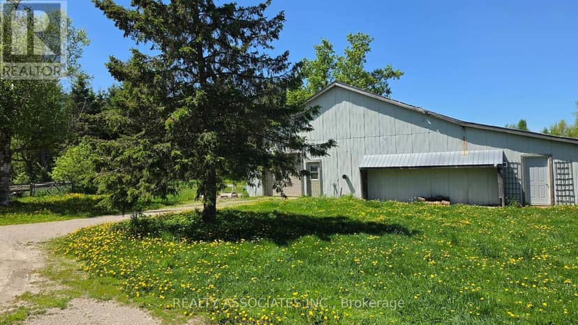 486289 30th Side Road — photo 8 of 40