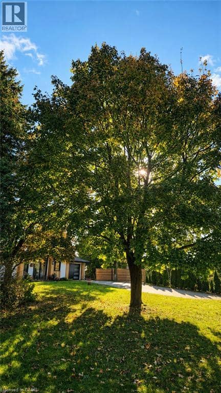 50 OAK Avenue — photo 33 of 34