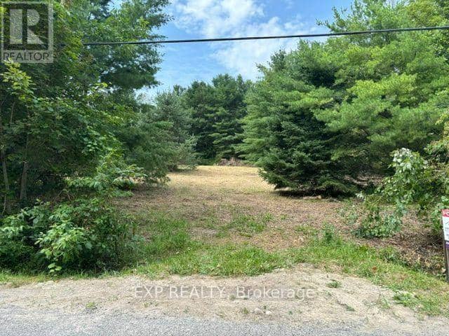 Lot 5 & 6 Rp 18 Noonan Road, Alnwick/Haldimand, photo 3
