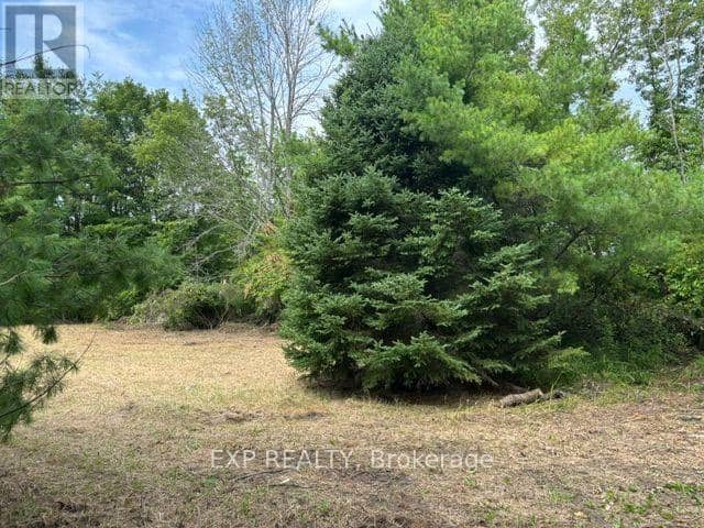 Lot 5 & 6 Rp 18 Noonan Road, Alnwick/Haldimand, photo 4