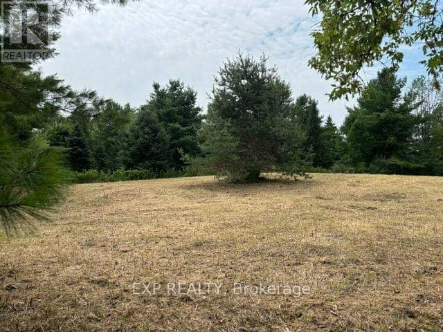 Lot 5 & 6 Rp 18 Noonan Road, Alnwick/Haldimand, photo 5