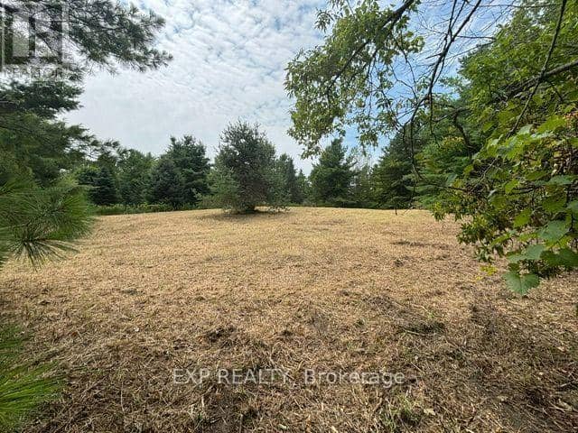 Lot 5 & 6 Rp 18 Noonan Road, Alnwick/Haldimand, photo 6