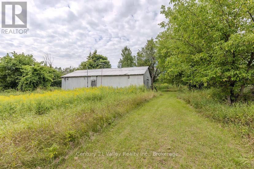 290 Pucker Street, Horton