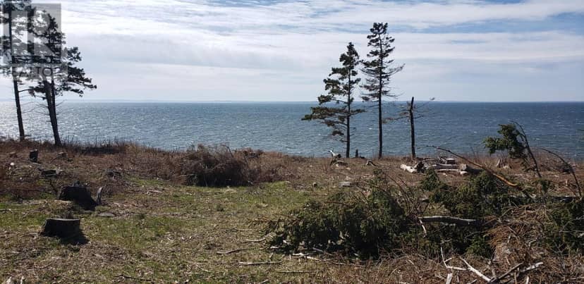 10755 Shore (Rte 4) Road — photo 5 of 23