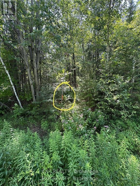 1 Lot 1 Concession 2 Part 4 Boundary Concession — photo 11 of 13