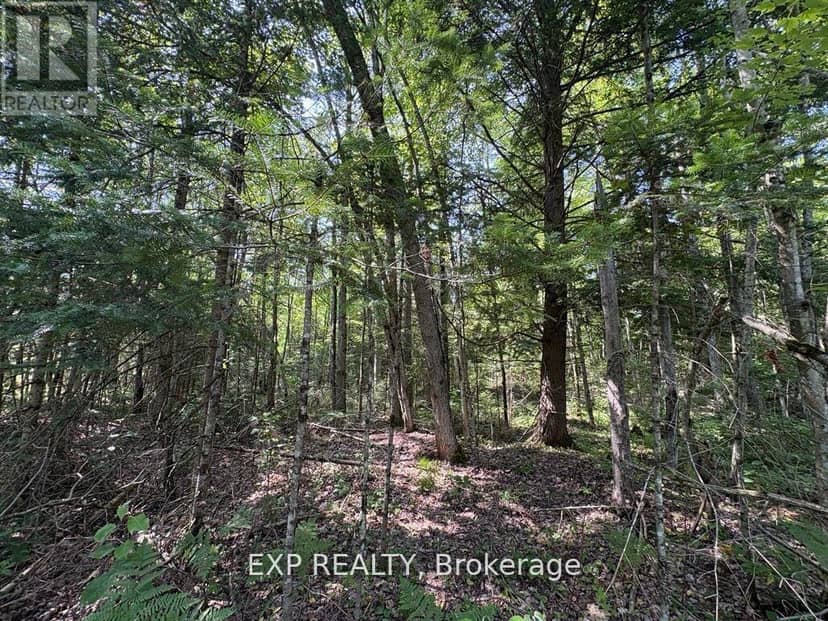 1 Lot 1 Concession 2 Part 4 Boundary Concession, Alfred and Plantagenet, photo 3