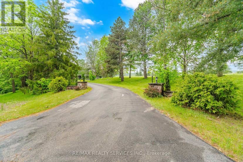 19246 Centreville Creek Road — photo 11 of 40