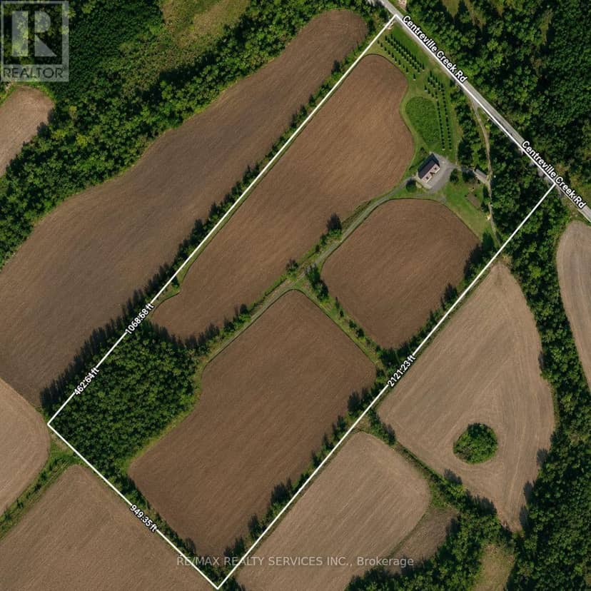 19246 Centreville Creek Road, Caledon, photo 3