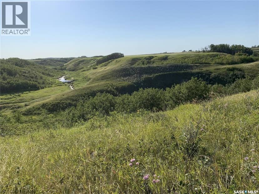 Dolezal Land, Blaine Lake Rm No. 434, photo 2