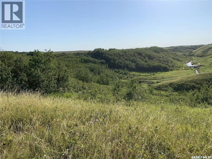 Dolezal Land, Blaine Lake Rm No. 434, photo 4