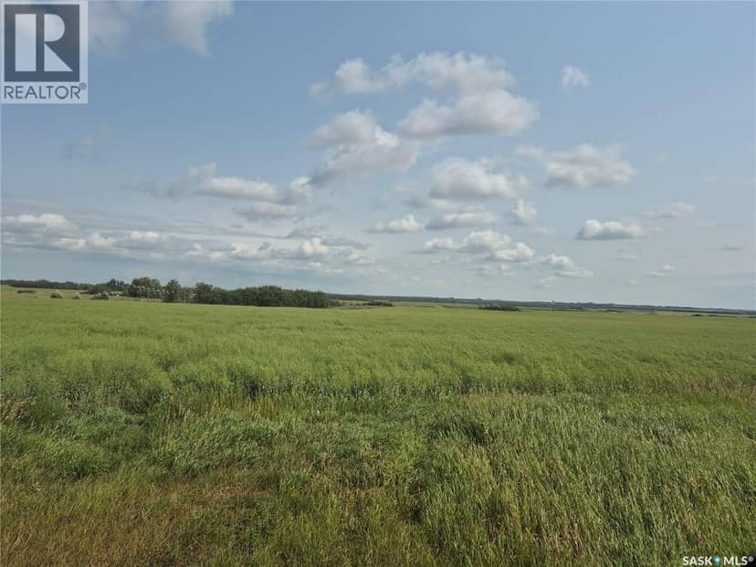 Dolezal Land, Blaine Lake Rm No. 434, photo 5