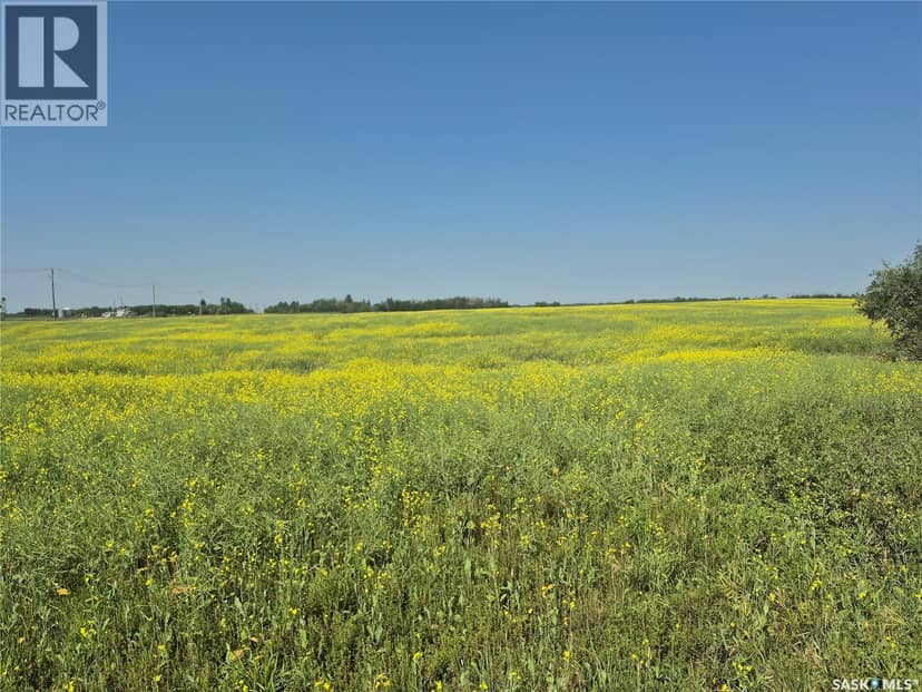 Rystrom #3 land, Corman Park Rm No. 344, photo 2