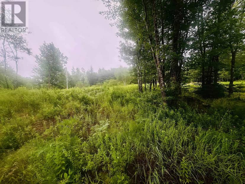 Lot 5-3 602 Walburne Road — photo 17 of 30