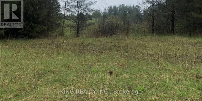 6081 Hwy 89, Clifford Road — photo 6 of 16