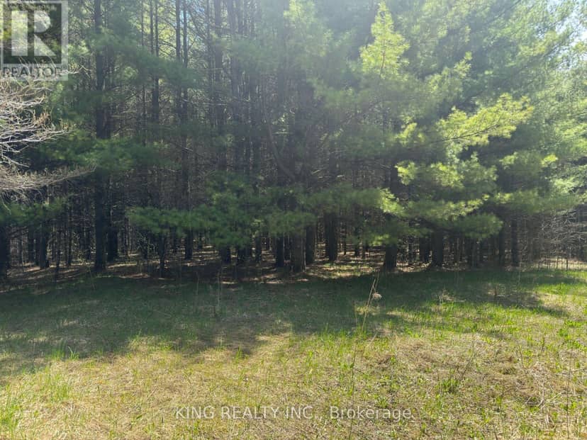 6081 Hwy 89, Clifford Road — photo 4 of 16