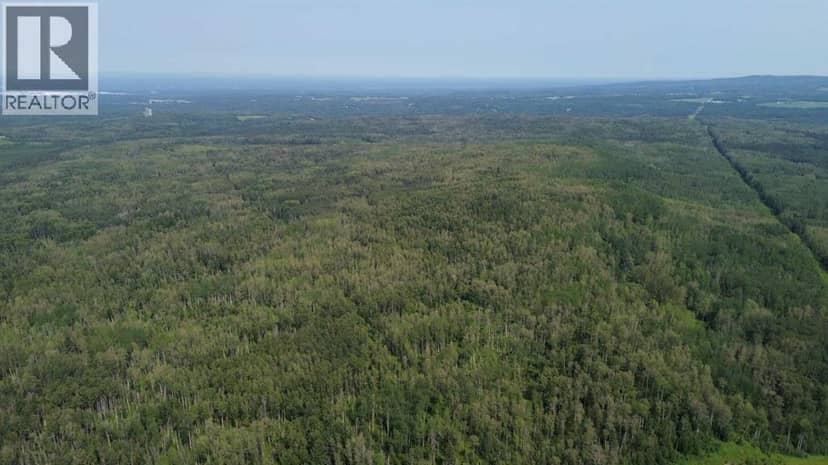 120 Range Road, Rural Woodlands County, photo 7