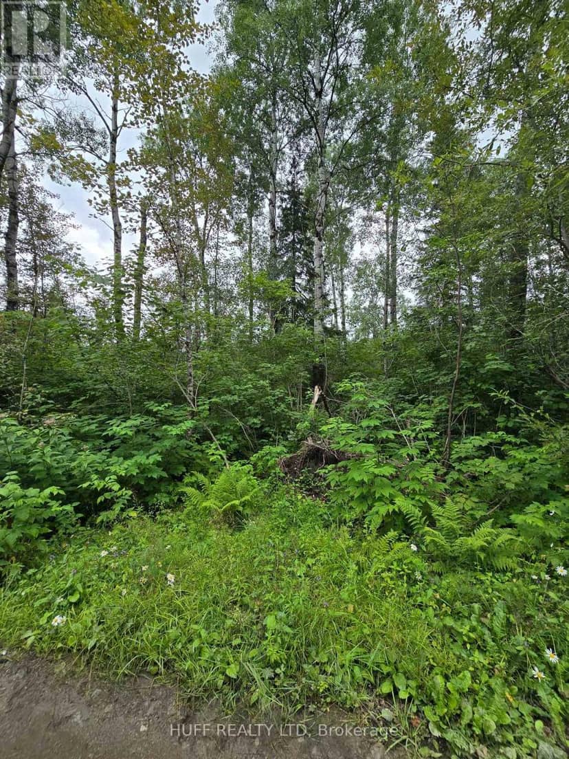 Pcl 15528 & 15527 Martin Bird Road, Kirkland Lake, photo 7