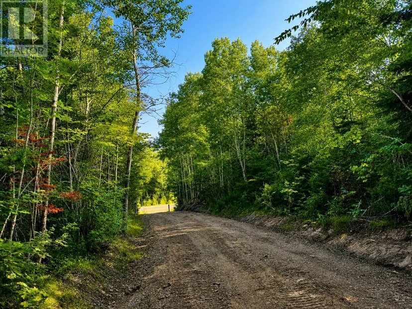 Marble Mountain Road — photo 5 of 19