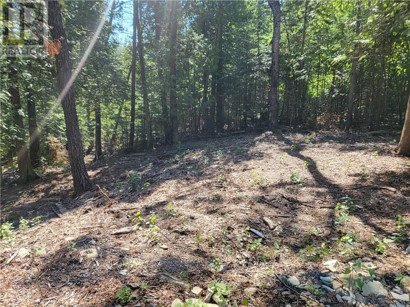 Lot 1 31M-209 Water Street — photo 12 of 24