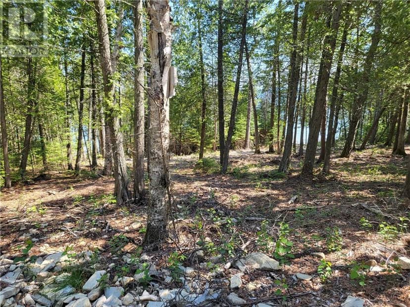 Lot 1 31M-209 Water Street — photo 11 of 24