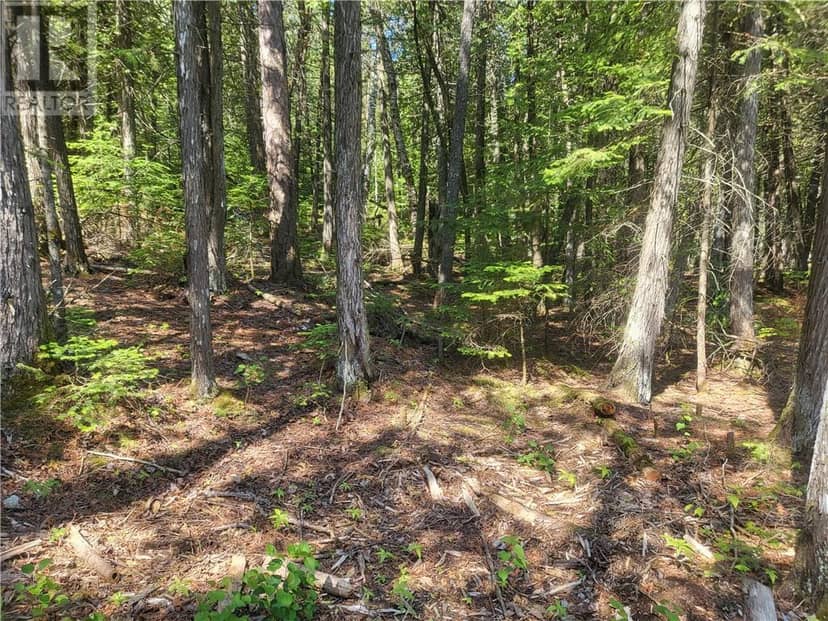 Lot 1 31M-209 Water Street — photo 17 of 24