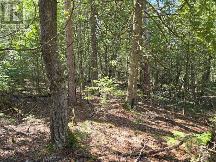 Lot 5 31M-209 Water Street — photo 10 of 13