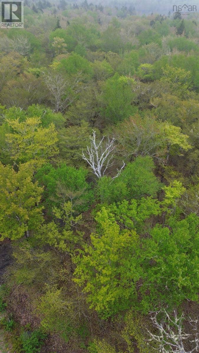 Lot 46 Turner Point Drive, Walden, photo 3