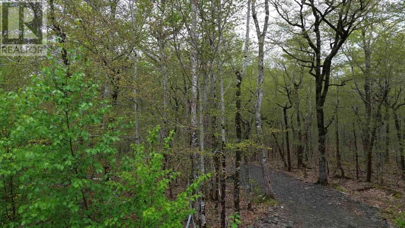 Lot 46 Turner Point Drive, Walden, photo 4