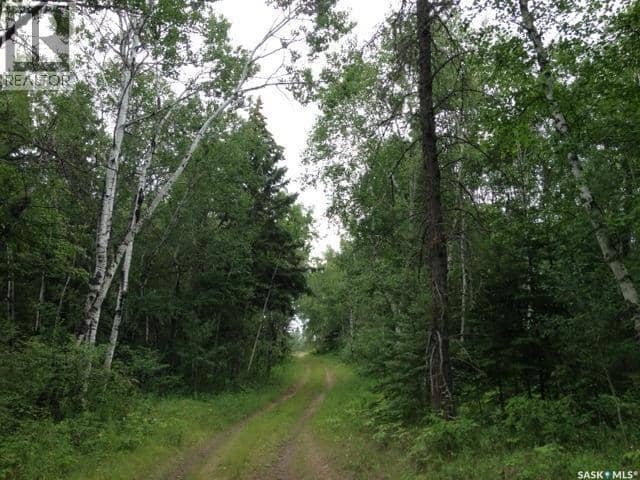 1-3 lot 1.75 acre, Hudson Bay Rm No. 394, photo 3
