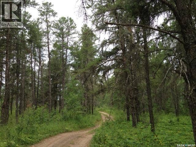 1-3 lot 1.75 acre, Hudson Bay Rm No. 394
